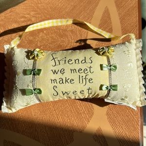 Friends hanging pillow decor